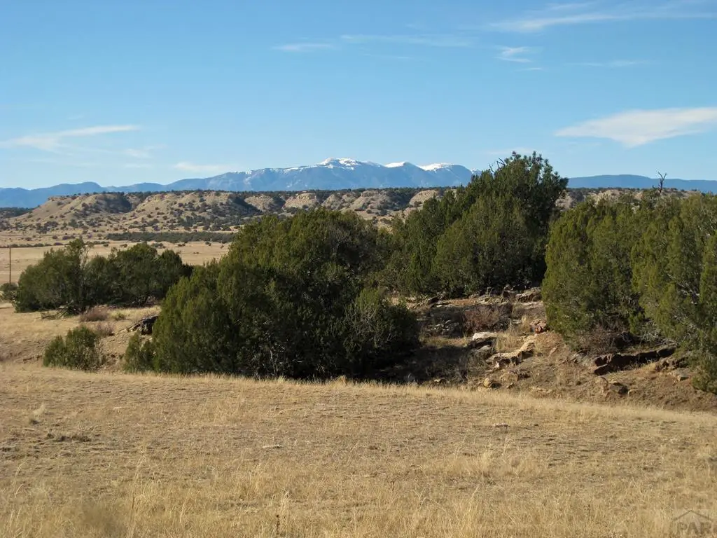 Lot 100 Narrow Gauge Way, Rye, CO 81069 - Image #1