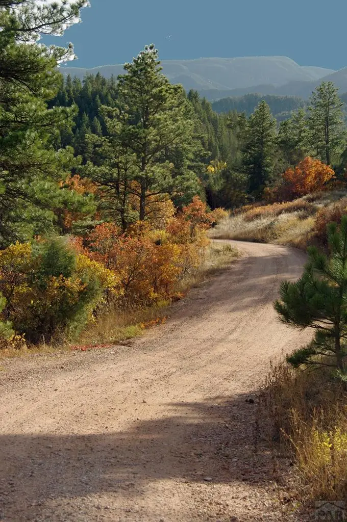 5855 Vine Mesa Ave, Beulah, CO 81023 - Image #2