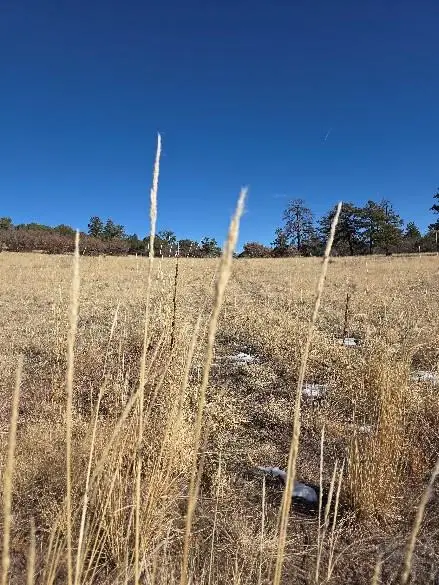 304 Hazel Court, Canon City, CO 81212 - #2