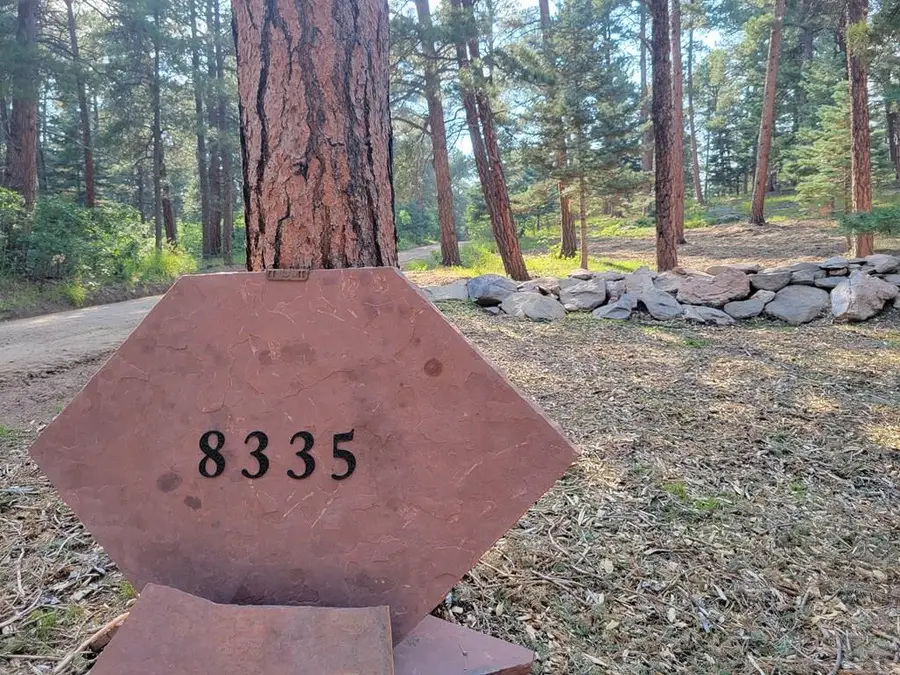 8335 Zorn Rd, Rye, CO 81069 - #2