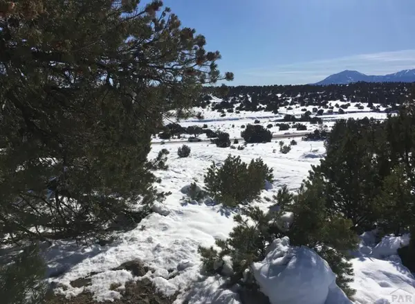 Lot 620 Rio Cucharas, Walsenburg, CO 81089