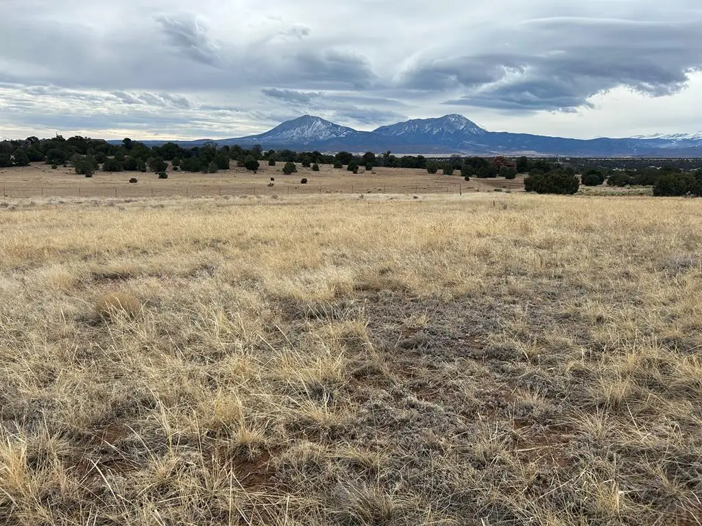Lot 78 Navajo Ranch Resort, Walsenburg, CO 81089 - #1