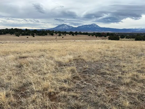 Lot 78 Navajo Ranch Resort, Walsenburg, CO 81089