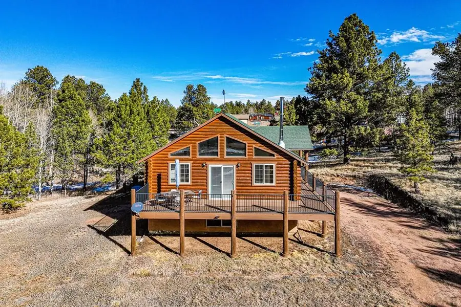 73 Big Horn Ln, Florissant, CO 80816 - #2