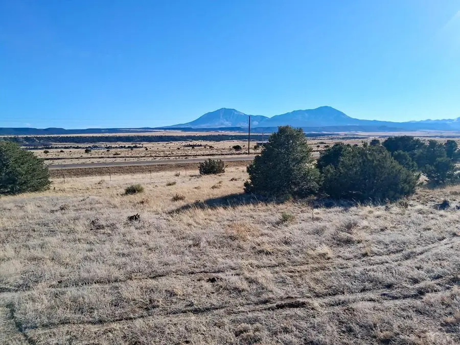 18541 W Us Highway 160, Walsenburg, CO 81089 - #3