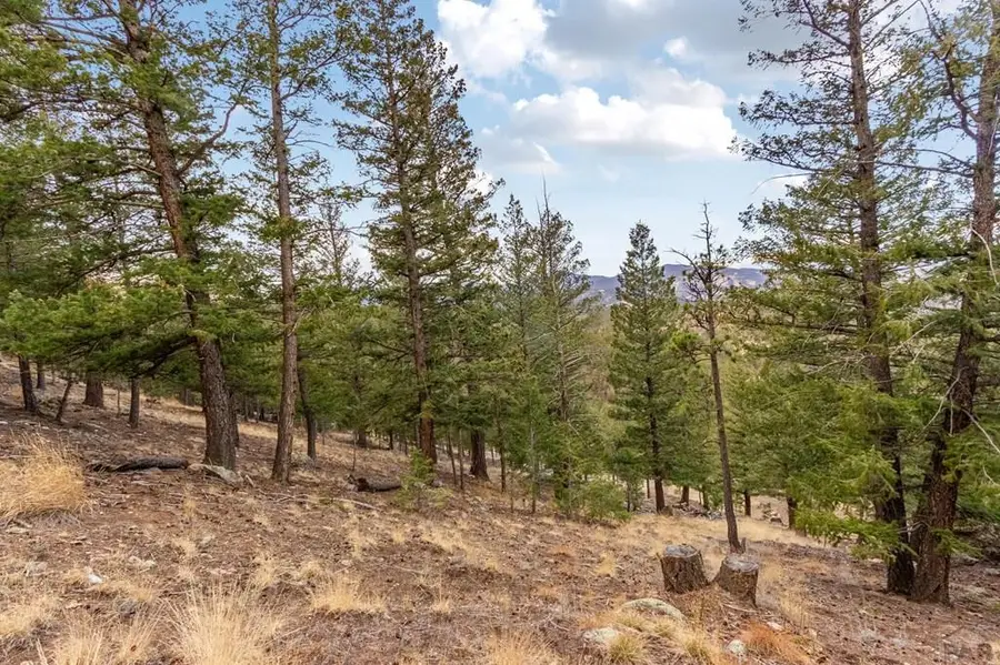 000 Upper Moss Rock Rd, Golden, CO 80401 - #3