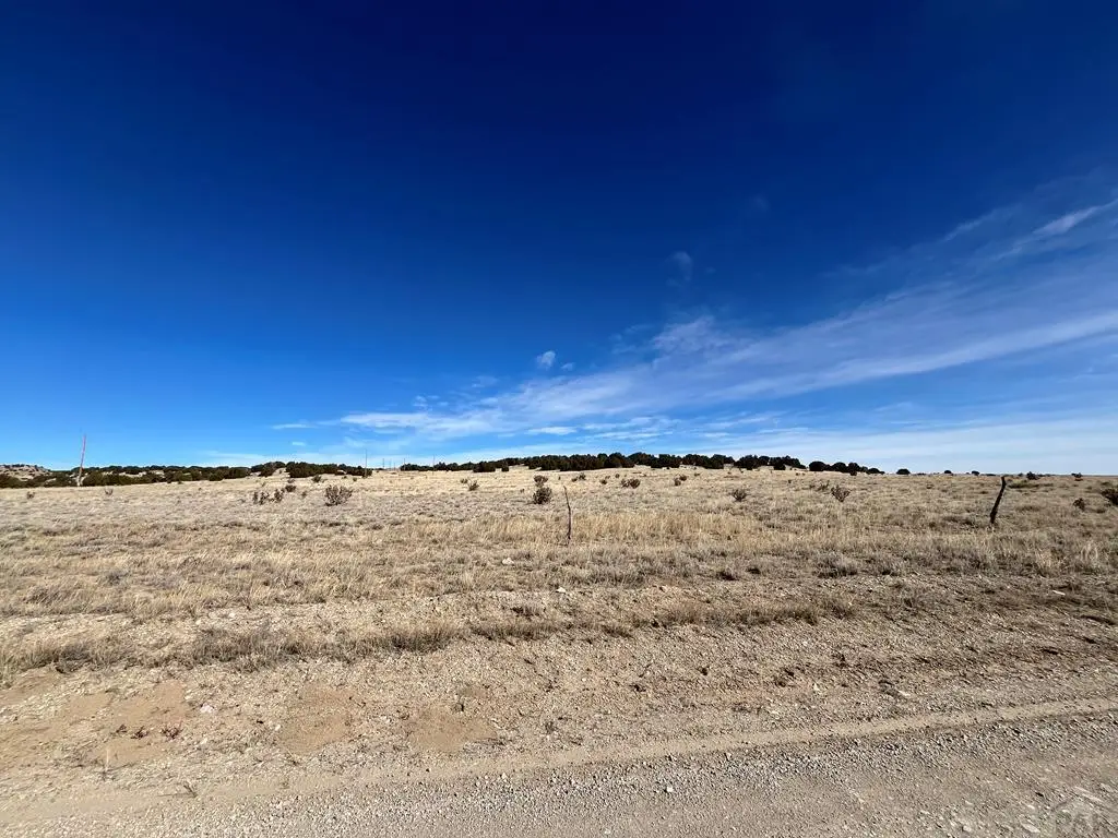 Lot 121 County Rd 113, Rye, CO 81069 - #1