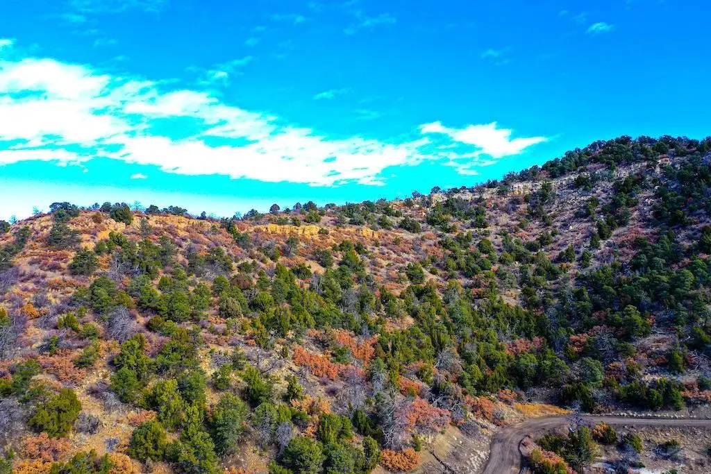 Lot 14 Fishers Peak Ranch, Trinidad, CO 81082 - #1