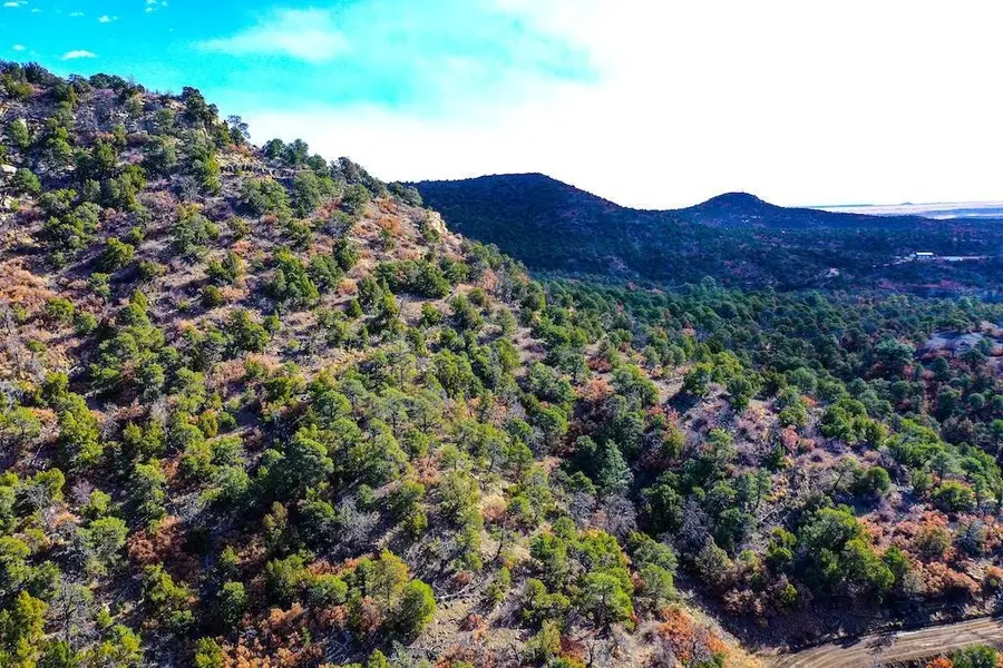 Lot 14 Fishers Peak Ranch, Trinidad, CO 81082 - #3
