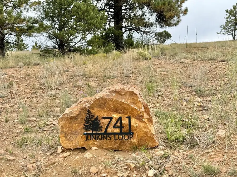 741 Junkins Loop, Westcliffe, CO 81252 - #2