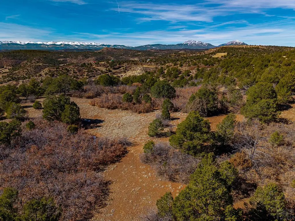 12222 Elk Run, Trinidad, CO 81082 - #1