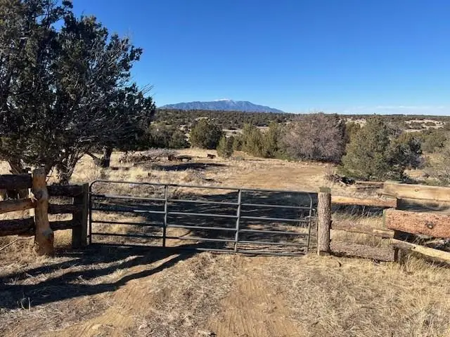 668 La Deora Blvd, Walsenburg, CO 81089 - #2