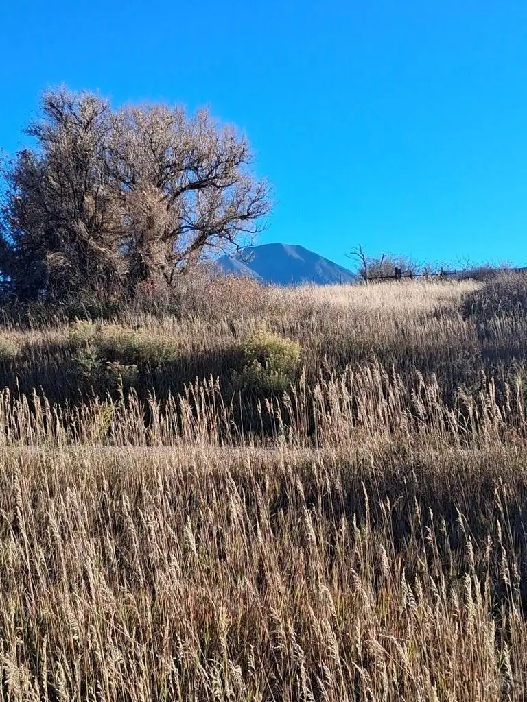 TBD E Grand St, La Veta, CO 81055 - #2