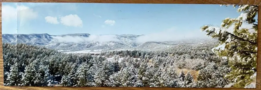 TBD Pine Dr, Beulah, CO 81023 - #2