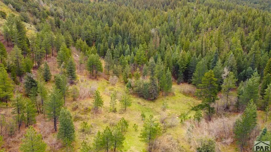 TBD Pine Dr, Beulah, CO 81023 - #3