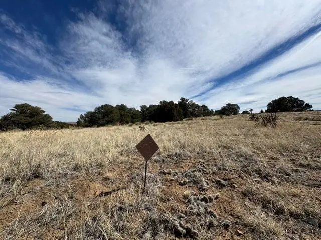 L29-30 B2 Orlando's Way, Walsenburg, CO 81089 - #3