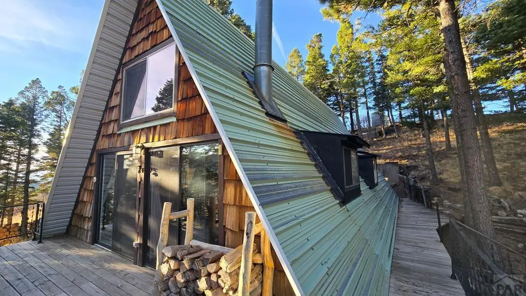 23672 Locust Dr, Aguilar, CO 81020 - #1