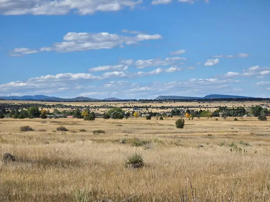 Lot 302 Beckwith Dr, Colorado City, CO 81019 - #2