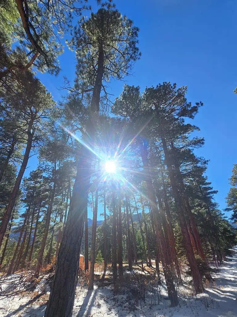 TBD Zorn Rd, Rye, CO 81069 - #1