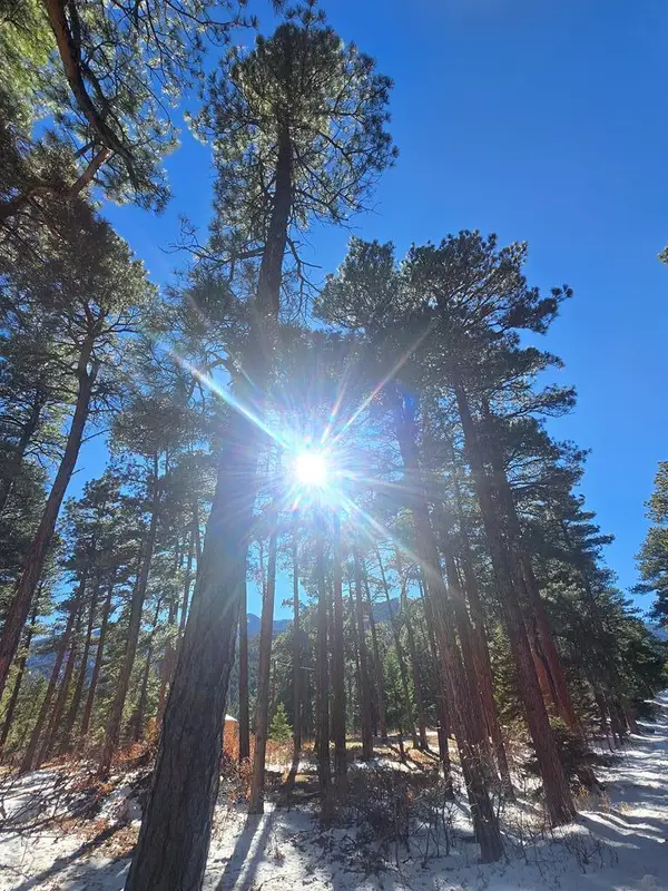 TBD Zorn Rd, Rye, CO 81069