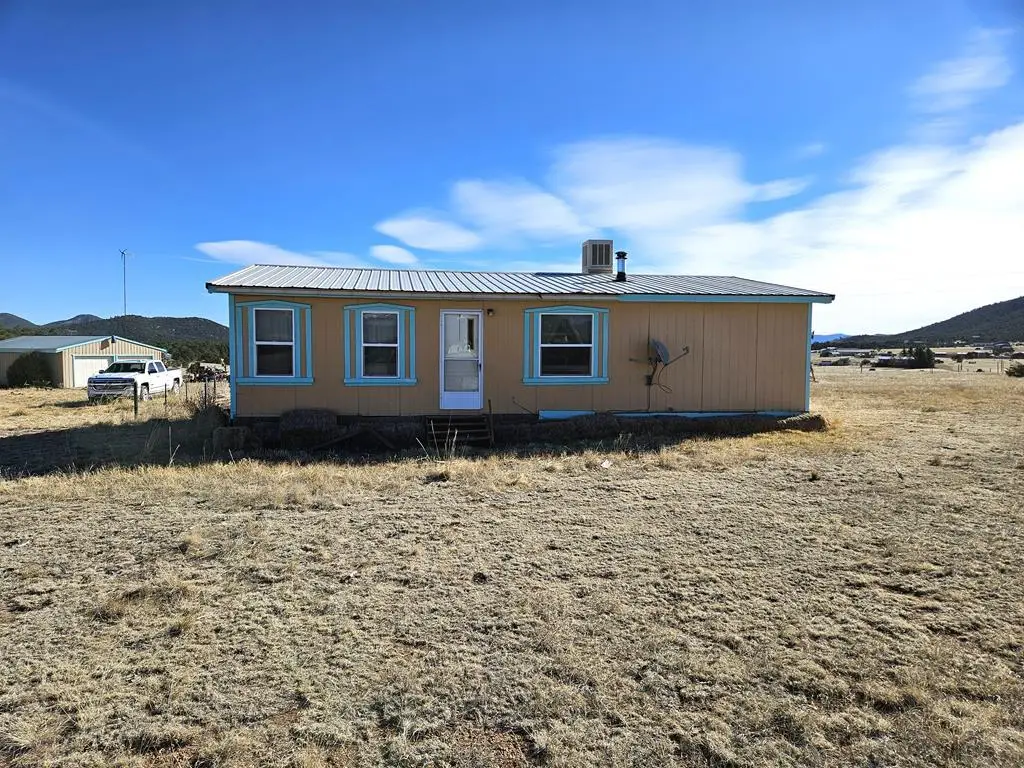 439 15th Trail, Cotopaxi, CO 81223 - #1