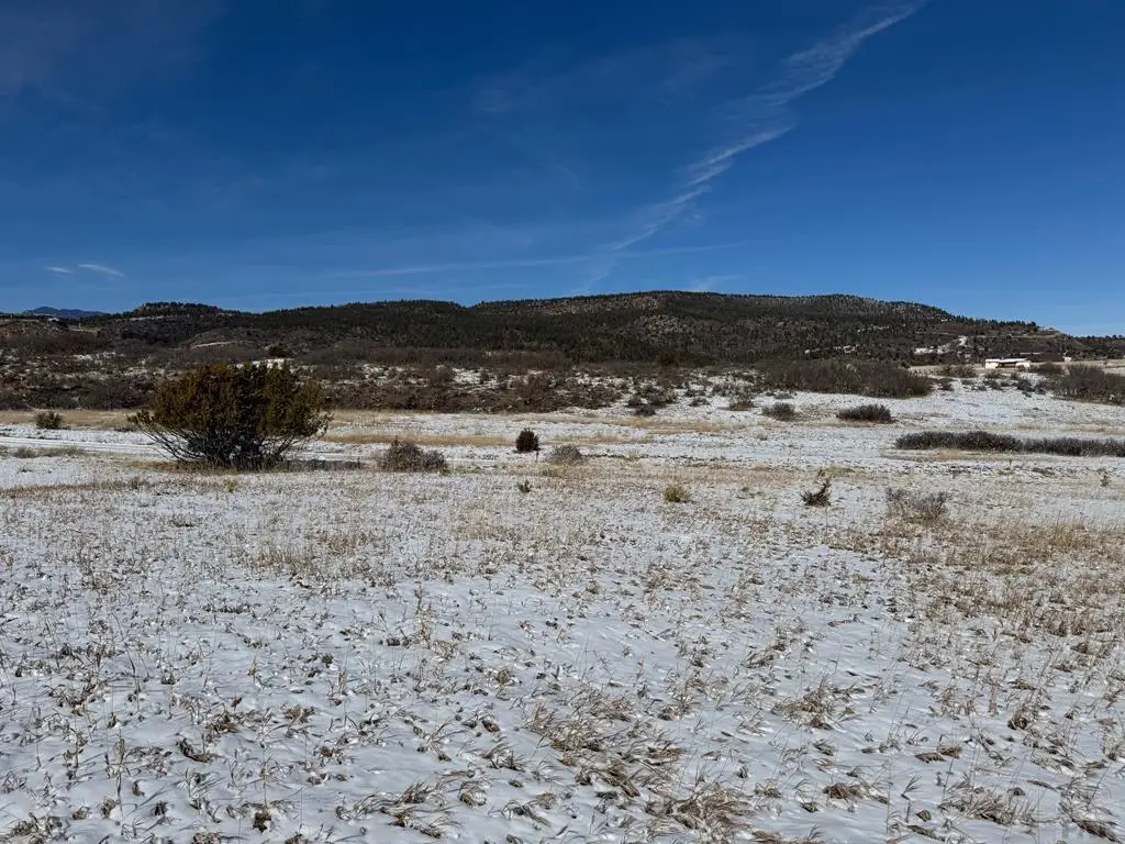 TBD Antoinette Lane, Colorado City, CO 81004 - #1