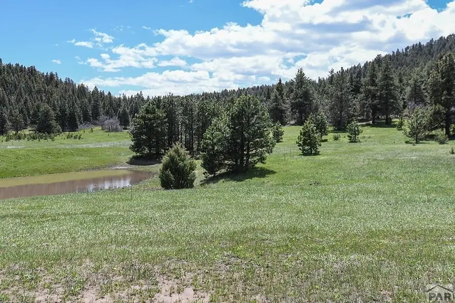 40 Acres Hwy 78, Beulah, CO 81023 - #3