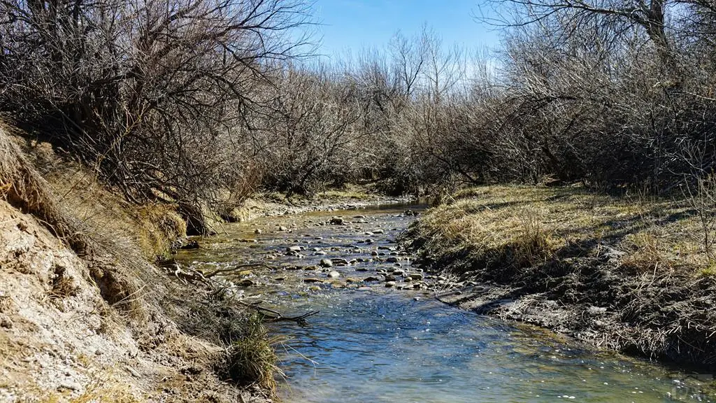 161 Colorado Land And Livestock, Walsenburg, CO 81089 - #1