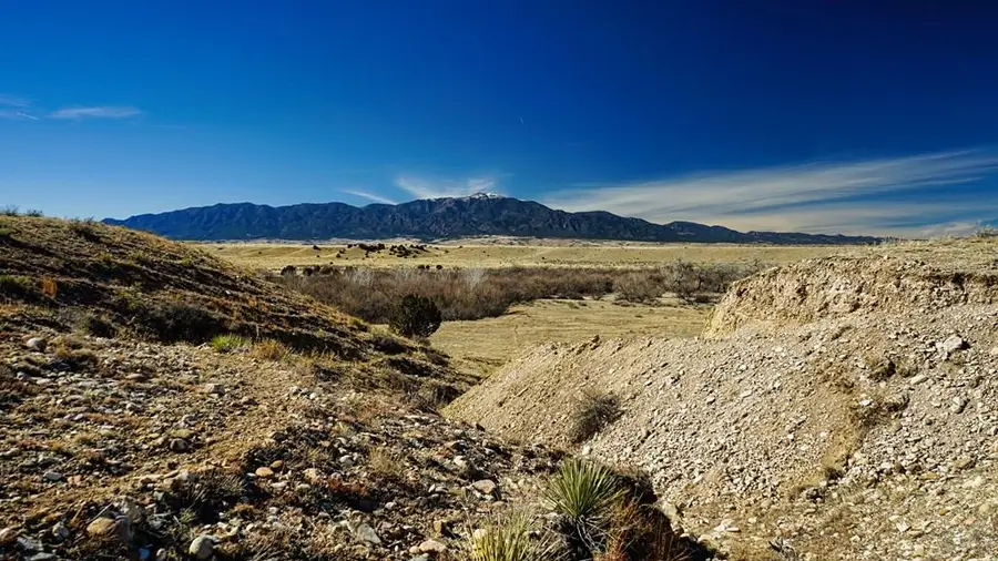 161 Colorado Land And Livestock, Walsenburg, CO 81089 - #2