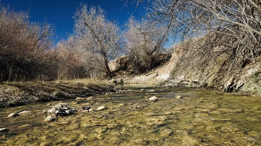 161 Colorado Land And Livestock, Walsenburg, CO 81089 - #3