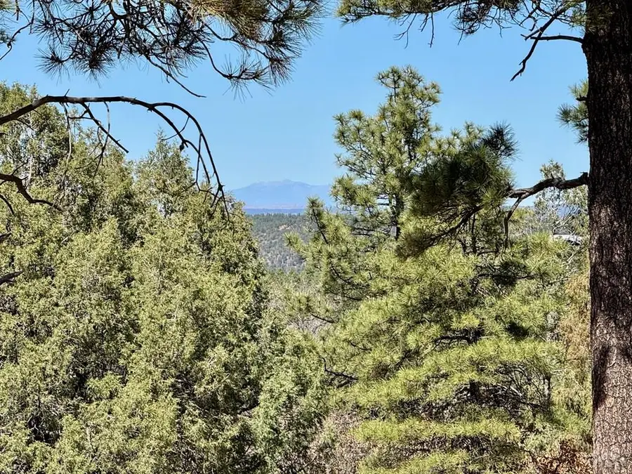 34999 Timber Park Dr, Trinidad, CO 81082 - #3