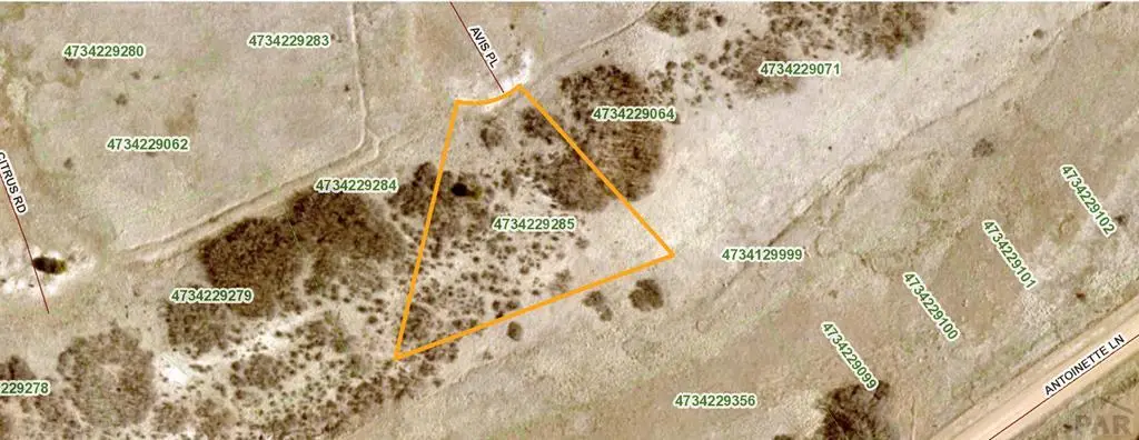 TBD Avis Pl, Colorado City, CO 81019 - #1