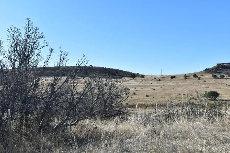 TBD Avis Pl, Colorado City, CO 81019 - #3