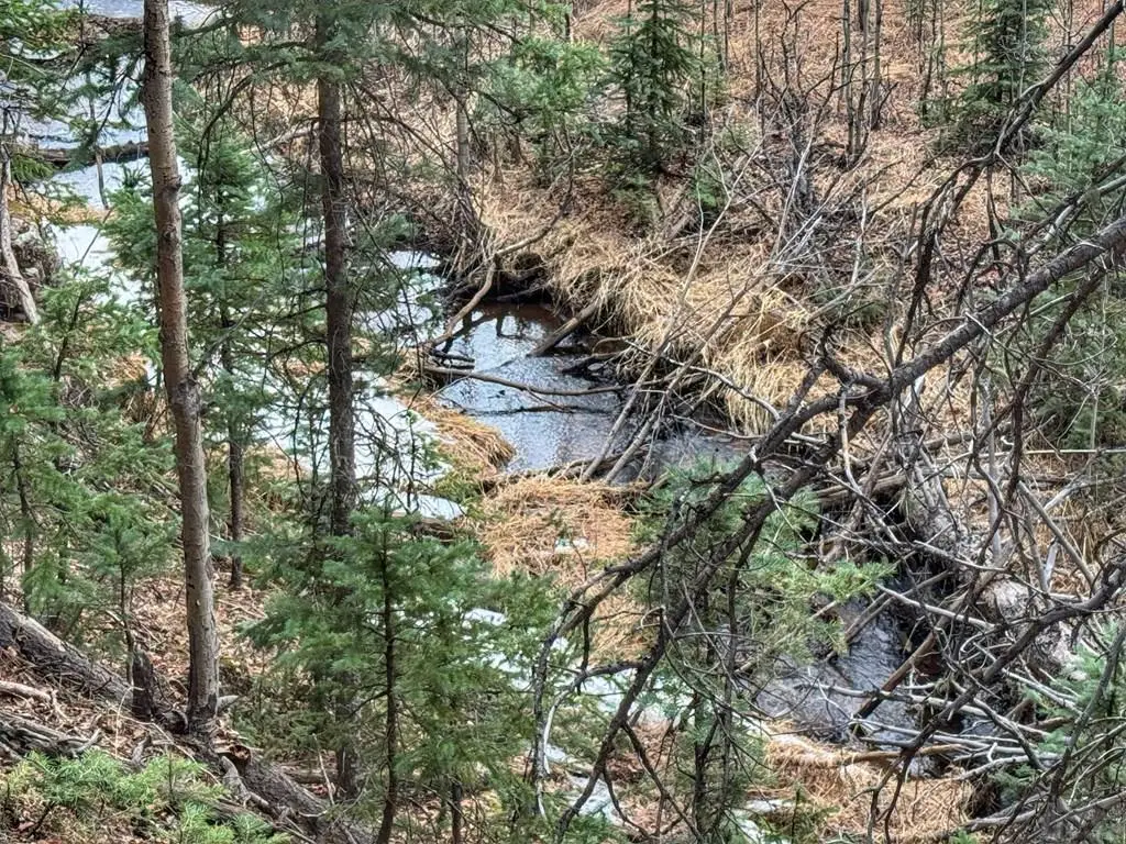 132 Aspen Acres, Rye, CO 81252 - #1