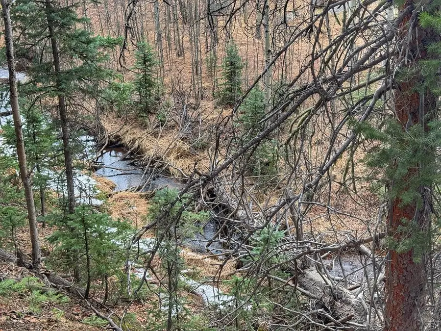 132 Aspen Acres, Rye, CO 81252 - #2