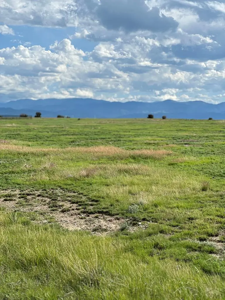 LOT 39 Swallows Rd, Pueblo West, CO 81007 - #2