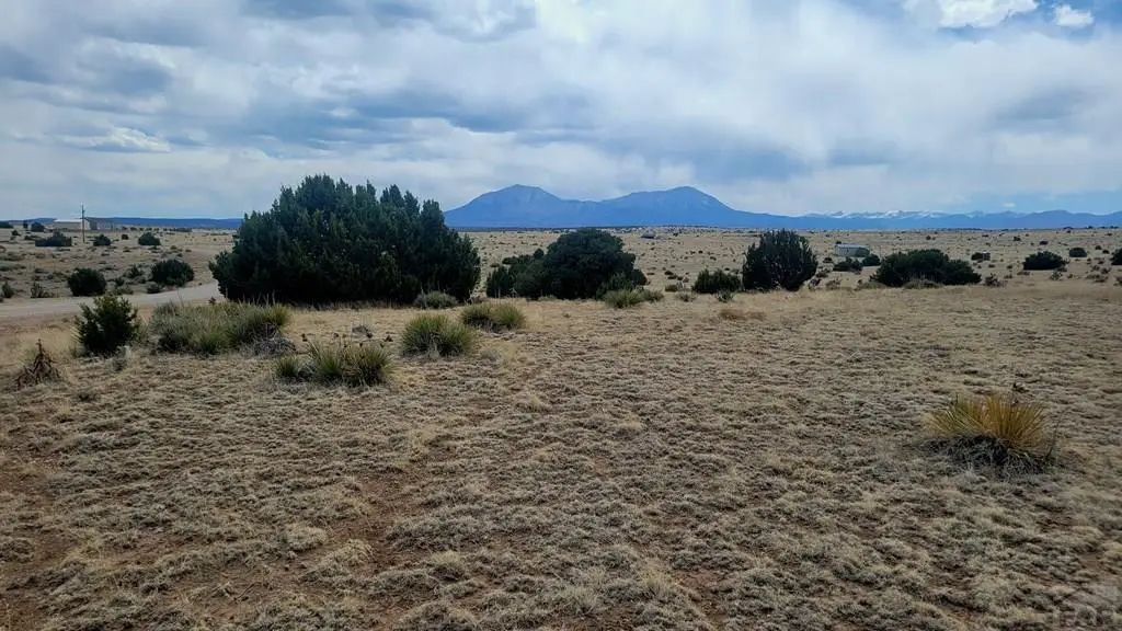 TBD County Road 504, Walsenburg, CO 81089 - #1