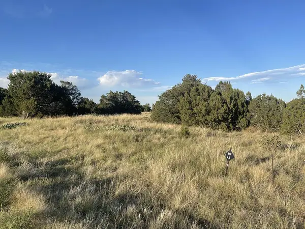 L10 B7 Orlando Way, Walsenburg, CO 81089
