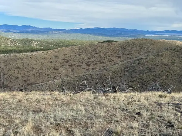 TR39 & 67 H Path, Cotopaxi, CO 81223
