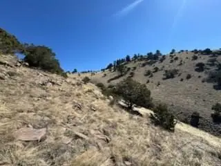 1231 &  124 Keepsake Loop, Westcliffe, CO 81252 - #3