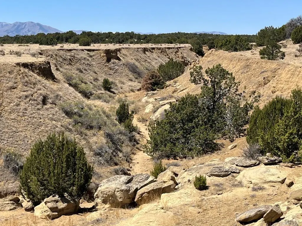 TR 66 County Rd 521, Walsenburg, CO 81089 - #1