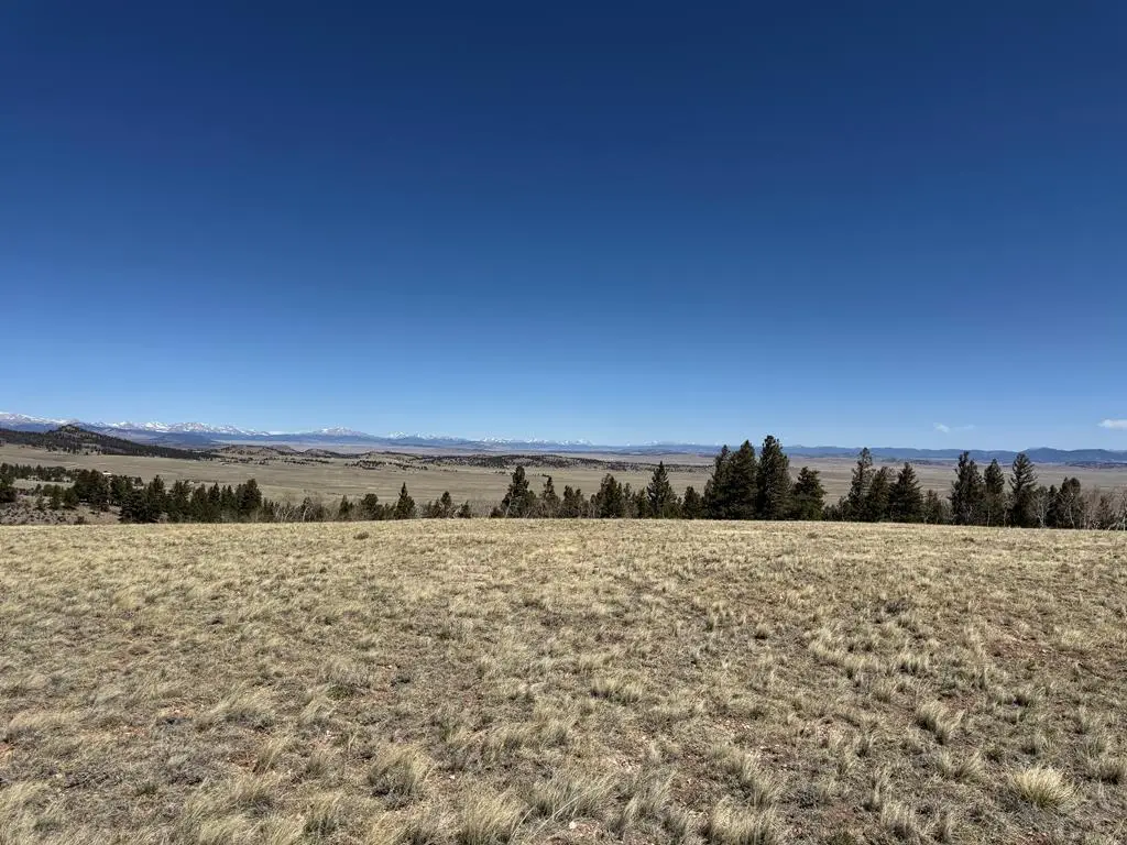 197 Baler Ct, Hartsel, CO 80449 - #1