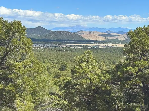 TBD - Lot 36 Corral North, Texas Creek, CO 81223