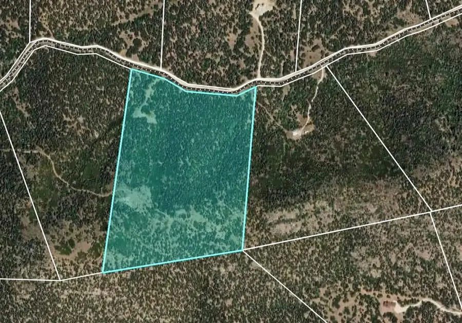 TBD - Lot 36 Corral North, Texas Creek, CO 81223 - #2