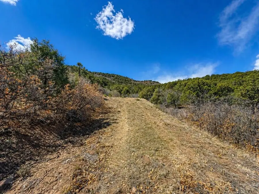 TBD - Lot 36 Corral North, Texas Creek, CO 81223 - #3