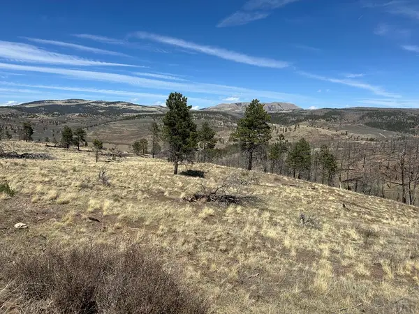 Lot 184 Forbes Pk, Fort Garland, CO 81133