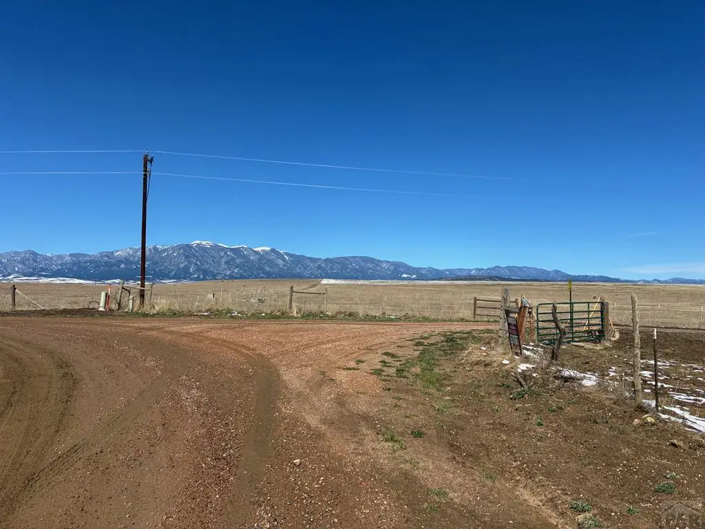 tbd Pickney Rd, Rye, CO 81069 - #1