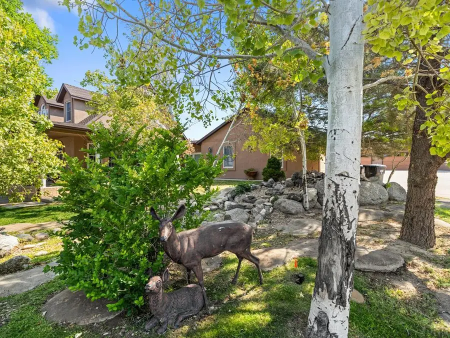 1180 S Oakleaf Dr, Pueblo West, CO 81007 - #3