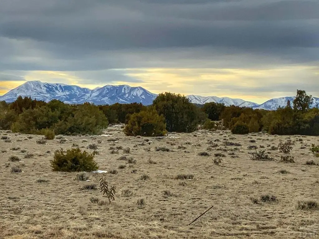 Address Withheld By Seller, Walsenburg, CO 81089 - #1