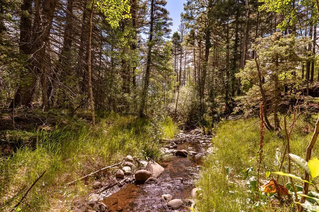 000 County Rd 46, Aguilar, CO 81020 - #1